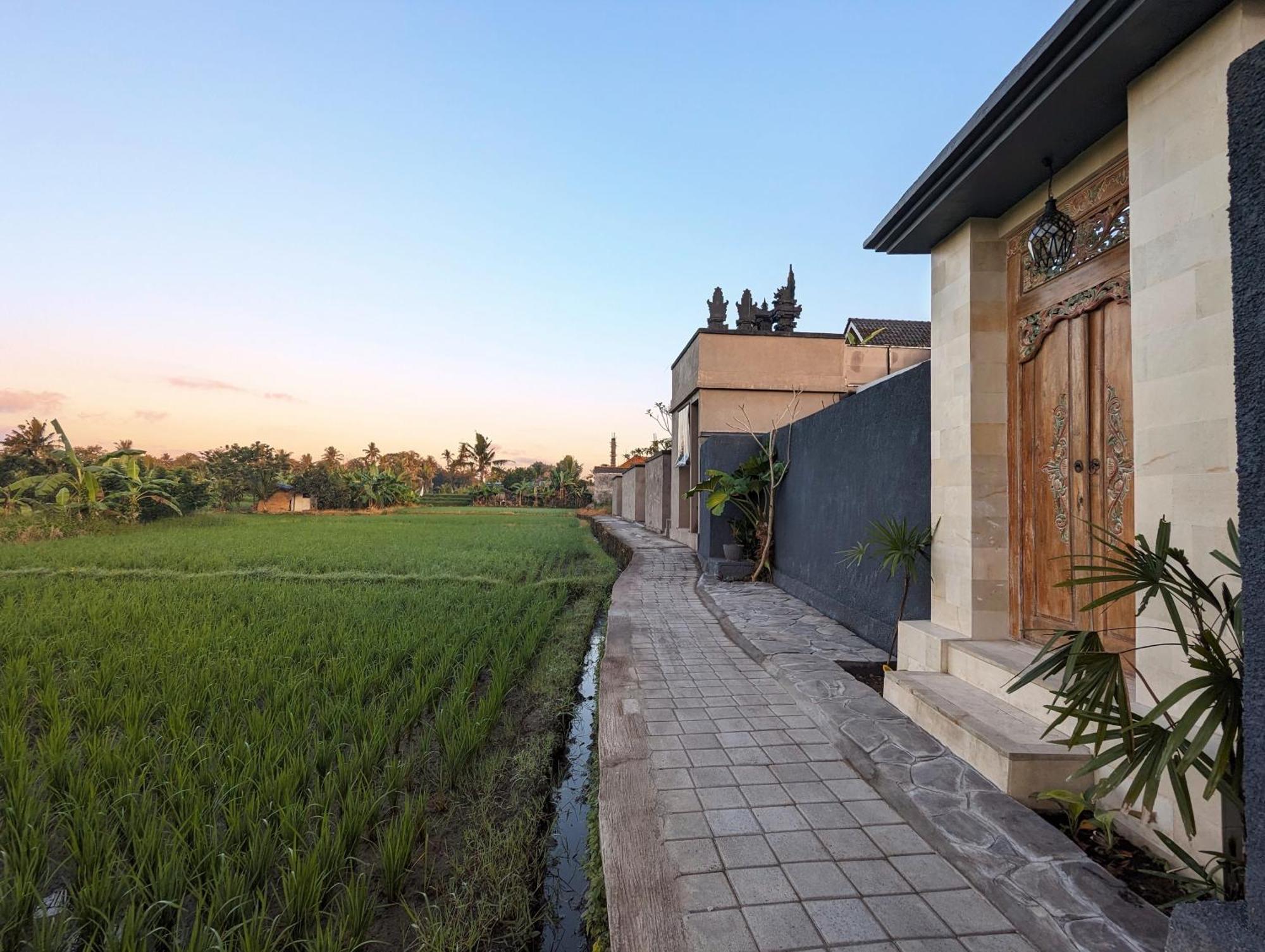 Villa Na-Na Ubud Extérieur photo